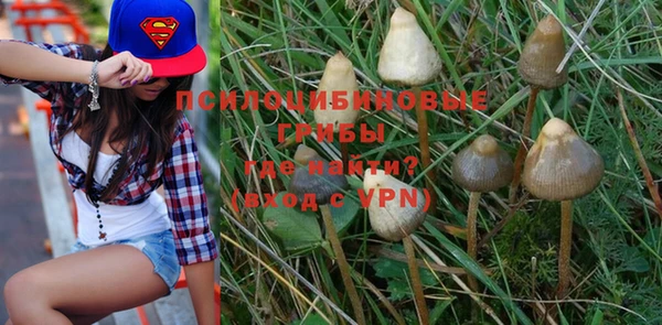 прущие крисы Гусиноозёрск