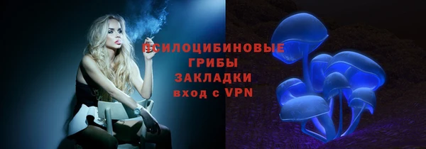 прущие крисы Гусев