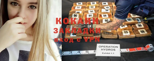 прущие крисы Гусев