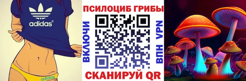 Псилоцибиновые грибы мицелий  Купить закладки  Олёкминск 